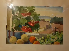 Bild Von Früchten