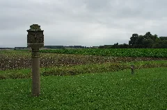Bildstock Lindacher Weg, Heidenfeld 2014 05