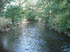 Billbach