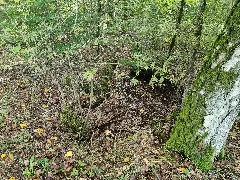 Billung Bach (Ehlbeck)