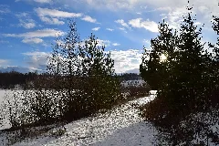 Binninger Baggersee Sonnenschein
