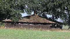 Birkenmoor Schafstall