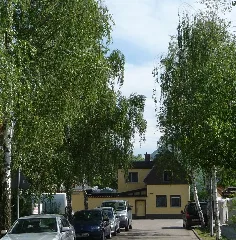 Birkenweg Mit Birken (Wo Gibt Es Das Sonst Noch^ Ich Habe Z. B. Noch Niemals Eine Adenauerstraße Mit Einem Adenauer Gesehen.) Panoramio