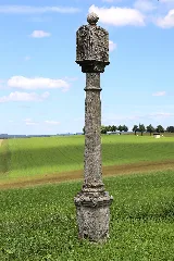 Birnbaum Bildstock 40