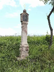 Birnbaum Bildstock 41