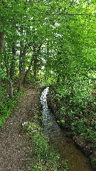 Bischofsgrün Mai 2015 Bocksgrabenbach Bei Fichtelbg