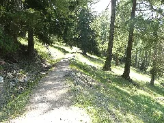 Bisse De Saxon 3