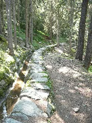 Bisse De Saxon 4