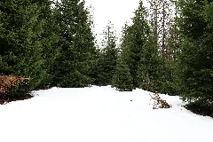 Black Forest National Park Baiersbronn 2020 03 11 09