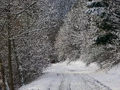 Black Forest Panoramio (3)