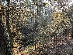 Blankenfelde Mahlow Glasowbachniederung (2)