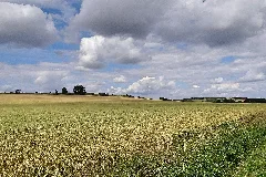 Blankenhain, Germany Panoramio (6)