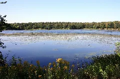 Blauer See Bei Ahlten
