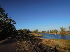 Bleddiner Riß Linksufrig Der Elbe Bei Wartenburg Ende September 2018A