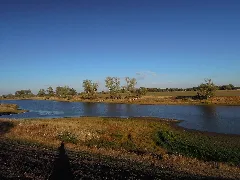Bleddiner Riß Linksufrig Der Elbe Bei Wartenburg Ende September 2018C