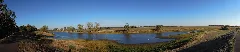 Bleddiner Riß Linksufrig Der Elbe Bei Wartenburg Panorama Ende September 2018