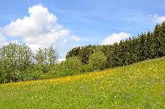 Blick Auf Das Nsg Tiefer Weg, Biotop Bei Ratshausen (2019)