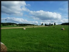 Blick Auf Den Eisenberg Mit Sendeturm (Knüll 2007) Panoramio