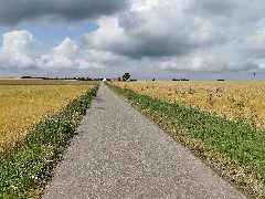 Blick Auf Den Vorderen Meßhof Bei Külsheim 2