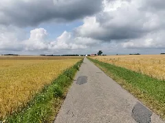 Blick Auf Den Vorderen Meßhof Bei Külsheim