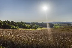 Blick Auf Einen Teil Des Nsg Talhänge Der Lauer (Links)