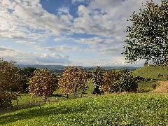 Blick Auf Westheim Von Buchhorn