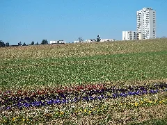 Blick Richtung Bietigheim Bissingen Panoramio