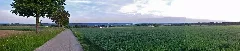 Blick Richtung Empfingen Panoramio (1)