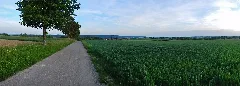 Blick Richtung Empfingen Panoramio