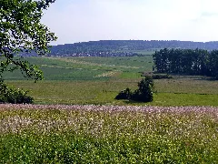 Blick Richtung Münklingen Panoramio