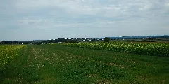 Blick Richtung Neubulach Panoramio