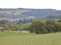 Blick Richtung Simmozheim Panoramio