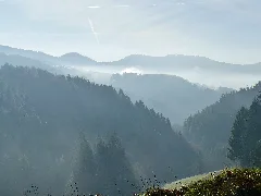 Blick Richtung Westen Panoramio (4)