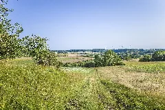 Blick Über Das Nsg Talhänge Der Lauer Nach Norden