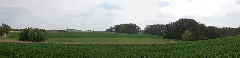 Blick Über Die Felder In Richtung Meckelfeld Panoramio