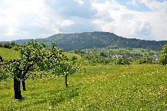 Blick Über Ratshausen Zum Ortenberg Im Nsg Und Waldschutzgebiet Ortenberg