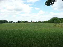 Blick Über Rosengarten Panoramio Osand