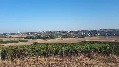 Blick Über Sulzheim Und Wörrstadt