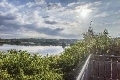 Blick Vom Aussichtsturm Am Sauerstücksee