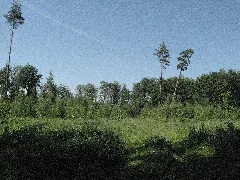 Blick Vom Se Der Hehlberg Hochfläche Nach Nnw, Spät Im Mai