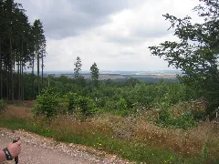 Blick Vom Soonwald Auf Den Hunsrück Nähe Argenthal Panoramio