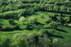 Blick Von Der Burg Gleiberg1