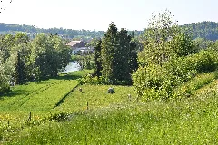 Blick Von Osten Aufs Allmendli In Mellingen