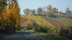 Blick Von Uhlbach Auf Württemberg (2009)