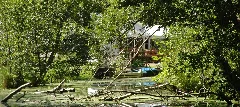 Blick Zum Müggenbusch Restaurant Lübeck An Der Wakenitz Panoramio