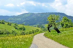 Blick Zum Ortenberg Im Nsg Und Waldschutzgebiet Ortenberg (2019)