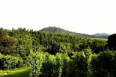Blick Zur Yburg Panoramio