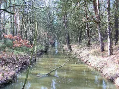 Blievenstorf Brenzer Kanal 2009 02 24 001