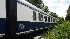 Blue Star Train 901 104 0