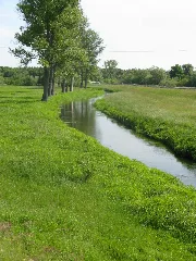 Bluecher Schaale 2008 05 23 066